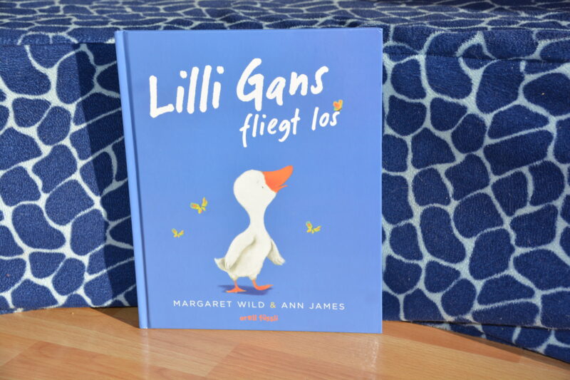Lilli Gans fliegt los: Ein Buch über die Angst und das Vertrauen