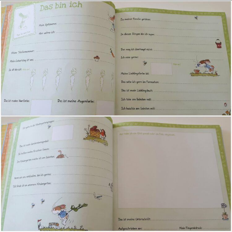 Juli Löwenzahn - Mein Kindergarten-Album