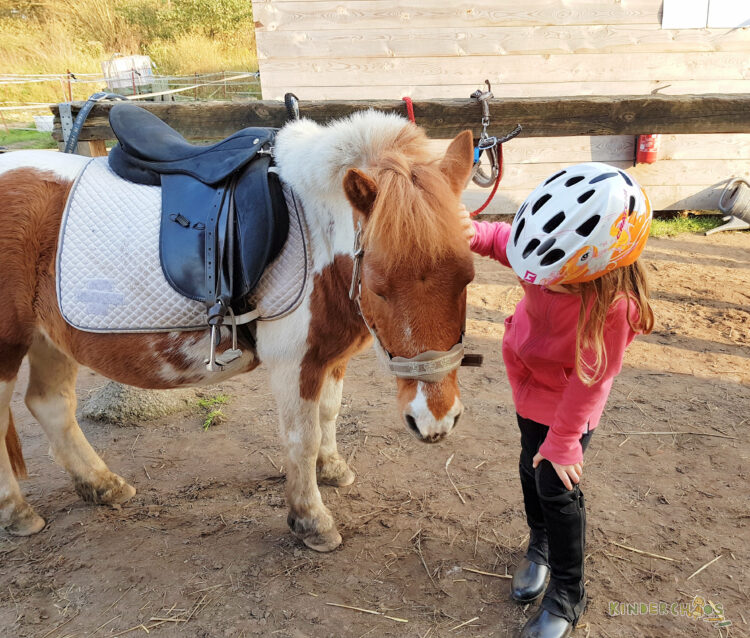 Jahresrückblick 2017 Pferde reden Familie Kinder Reiterhof Familienblog