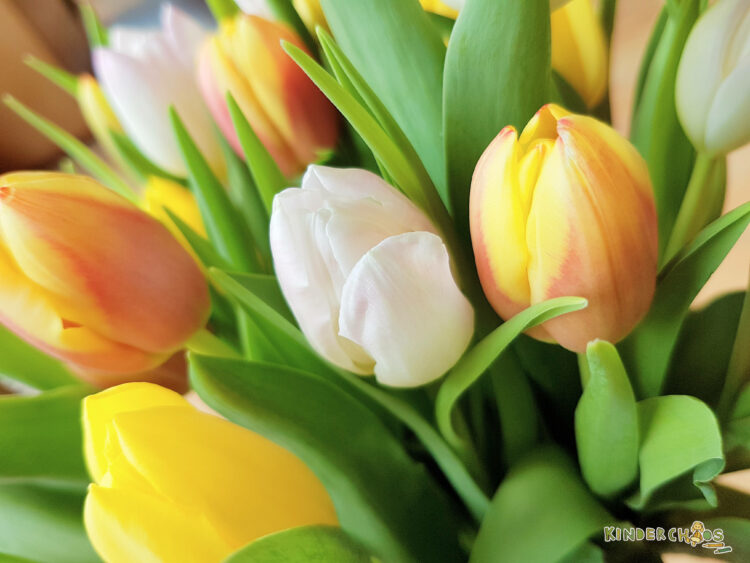 Fünf Tulpen blühen Fingerspiel Frühling Kindergarten Kinderkrippe Kindertagespflege Tagesmutter