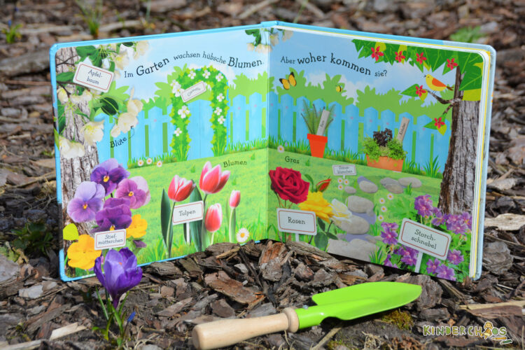 DK Wie wächst denn eine Sonnenblume? Kinderbuch Sachbuch Kindergarten Garten