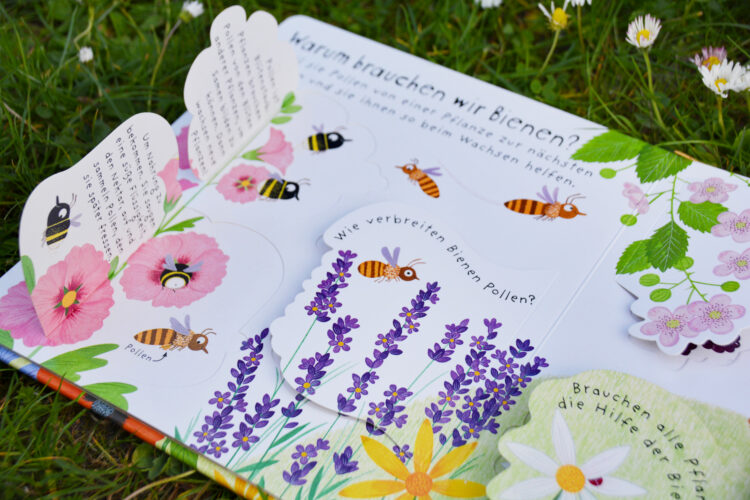 Zum Weltbienentag: Erstes Aufklappen und Verstehen - Warum brauchen wir Bienen? Kinderbuch Bilderbuch Kindersachbuch Sachbilderbuch 
