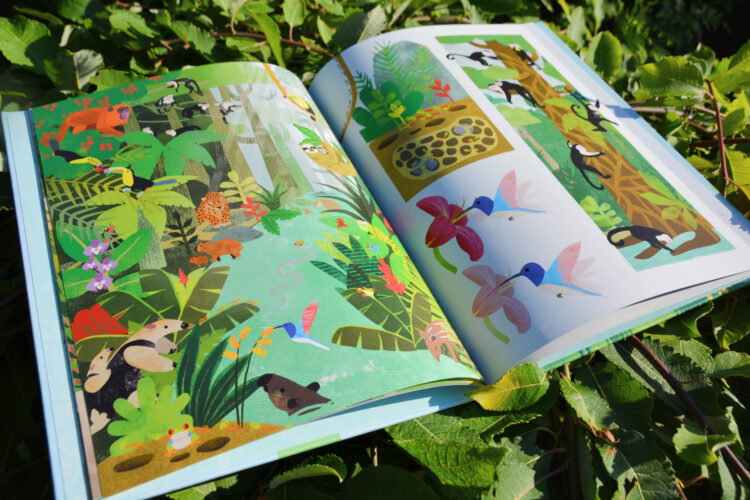 Ich erzähl dir die Welt - Naturgeschichten ohne Worte Kinderbuch Bilderbuch Natur Kate McLelland