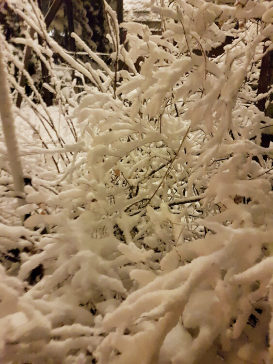 Winter in Leipzig