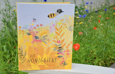 Die Honigbiene: Wie die Biene zu ihrem Honig kommt!