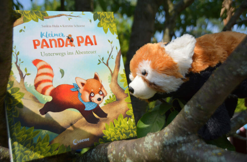 Kleiner Panda Pai – Unterwegs ins Abenteuer: Katzenbär oder Bärenkatze?