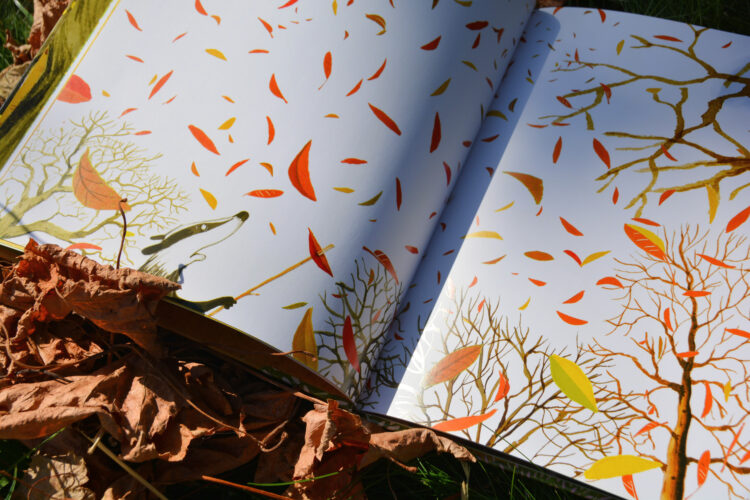 Den Dachs ärgern die Herbstblätter