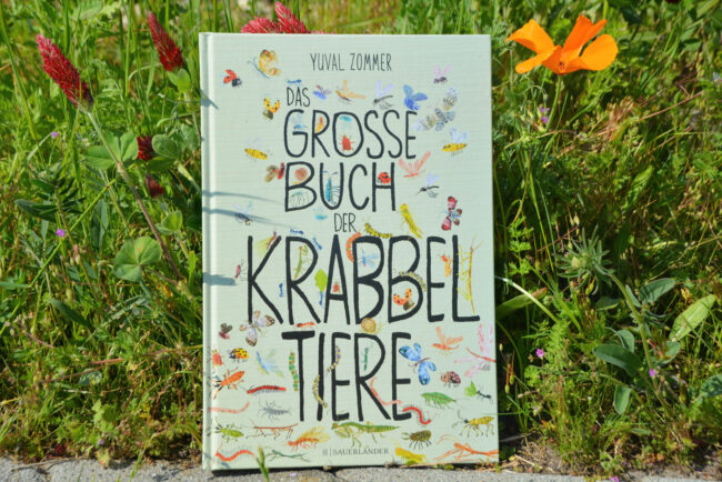 Das große Buch der Krabbeltiere: Es krabbelt, summt und brummt bei uns! + GEWINNSPIEL
