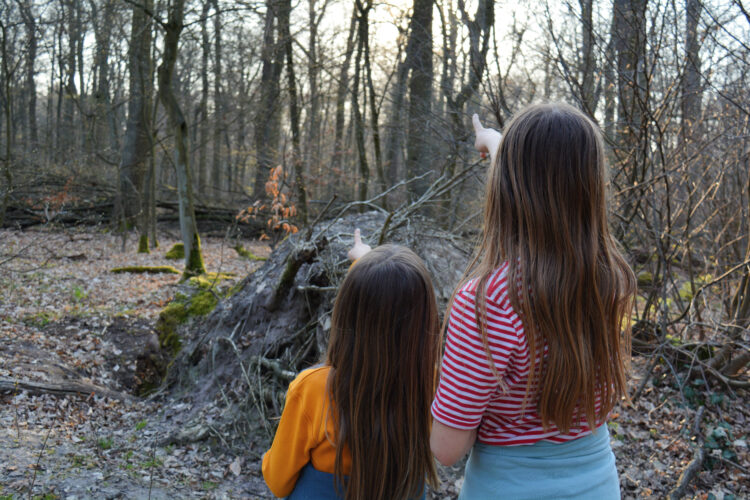 Kinder im Wald Buntspecht