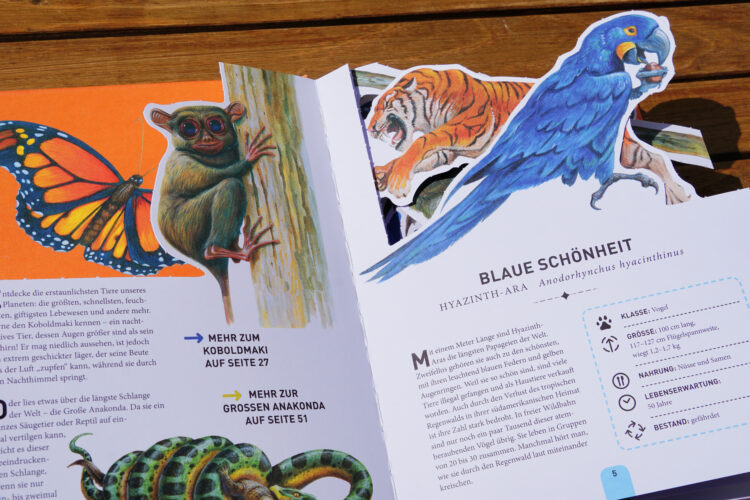 3D Tiere Kinderbuch